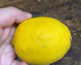 保存版✅レモンが腐るサイン・食べられる見分け方作り方2写真