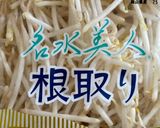 さやインゲンともやしのマスタード和え♪作り方3写真