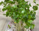 ブロッコリーの茎と人参の和え物♪作り方4写真
