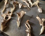 あこ酵母で作るニョッキ作り方5写真