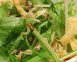 水菜のカリカリサラダ　＊柚子胡椒風味＊作り方9写真