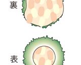 ゴーヤ豆腐バーグ作り方6写真