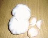 蝦入り水餃子作り方4写真