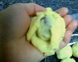 さつまいもの黄身しぐれ作り方7写真