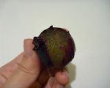 ぶどう（巨峰）の皮がスルッとむける！作り方3写真