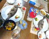 天然真鯛やイサキ等の美味しい食べ方作り方19写真