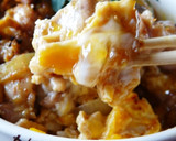５分でできる　とろとろ親子丼作り方10写真
