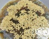 おれの焼肉のたれで超簡単わかめスープ！作り方8写真