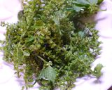 お箸が止まらない！紫蘇の実ごはん作り方1写真