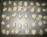 ジューシーな焼き餃子作り方9写真