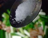 ペペロン風葱焼作り方12写真