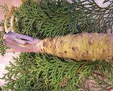 ミョウガとワサビで大人味のポテトサラダ作り方1写真