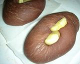 炊飯器で発酵パン（チョコっと栗）作り方9写真