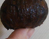 さうだ★渋皮煮作らう!!作り方6写真