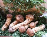 簡単・松茸ごはん作り方1写真