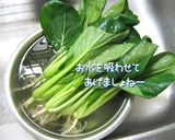 和え物美味しく作りましょう小松菜辛子和え作り方2写真