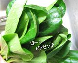 和え物美味しく作りましょう小松菜辛子和え作り方3写真