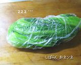 和え物美味しく作りましょう小松菜辛子和え作り方11写真