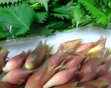 みょうがと大葉の酢味噌和え作り方1写真