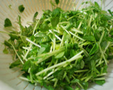 豆苗（とうみょう）と竹輪の炒め物作り方1写真