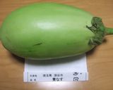 青ナスの焼肉風ステーキ作り方1写真