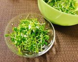 しらすと豆苗のむしゃむしゃサラダ🥗作り方4写真
