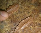 チョコじゃない蝶々さん。…などなど作り方8写真