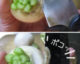 塩だけで食うてごらんよ【蕪と蛸の前菜】作り方3写真