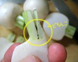 塩だけで食うてごらんよ【蕪と蛸の前菜】作り方6写真