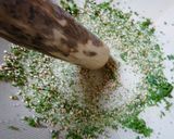 茹で野菜の木の芽和えサラダ作り方4写真