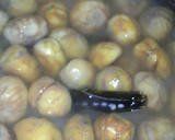 栗たっぷり栗ご飯♪作り方3写真