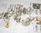 魚の皮で作る簡単おつまみ♪作り方7写真