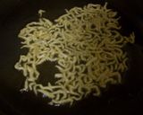 居酒屋風☆豆腐とじゃこのサラダ作り方5写真