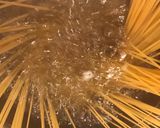 納豆がよく絡む!納豆パスタ作り方1写真