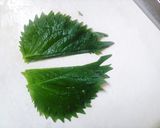 秋ナスのさっぱり浅漬けレモン味(^^)作り方2写真