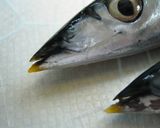 旬のさんまの選び方。作り方1写真