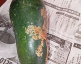 シブイよなあハンダマ！作り方1写真