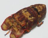 セミエビのぷりっとグラタン♪作り方1写真