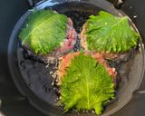 鯵フライと鯵青じそハンバーグ作り方9写真