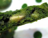 カントリーマアム風♪チョコチップクッキー作り方16写真