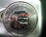 臭みなし＊ぶりのあらの煮付け作り方1写真