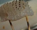 お茶漬けパスタ作り方6写真