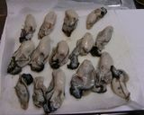 絶品★牡蠣のオリーブオイル焼き作り方1写真