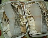 きのこたっぷり白身魚のレンジ蒸し作り方4写真
