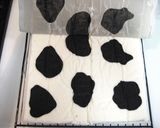 濃厚ミルク♪牛模様の白いロールケーキ作り方21写真