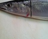 超簡単!きれい!魚の内臓の取り方作り方2写真