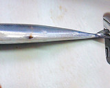 超簡単！きれい！魚の内臓の取り方作り方5写真