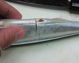 超簡単！きれい！魚の内臓の取り方作り方6写真
