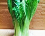 ♻️野菜プレップ総合案内🗺️葉茎|根菜|果菜作り方1写真