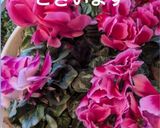 やきもち♡作り方42写真